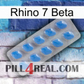 Rhino 7 Beta 22